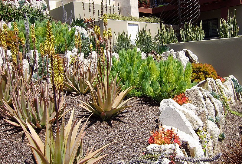 Water Conservation - Hutter Designs - Landscape Architects San Diego