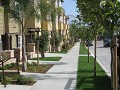 Arbor Terraces - Streetscape Looking South